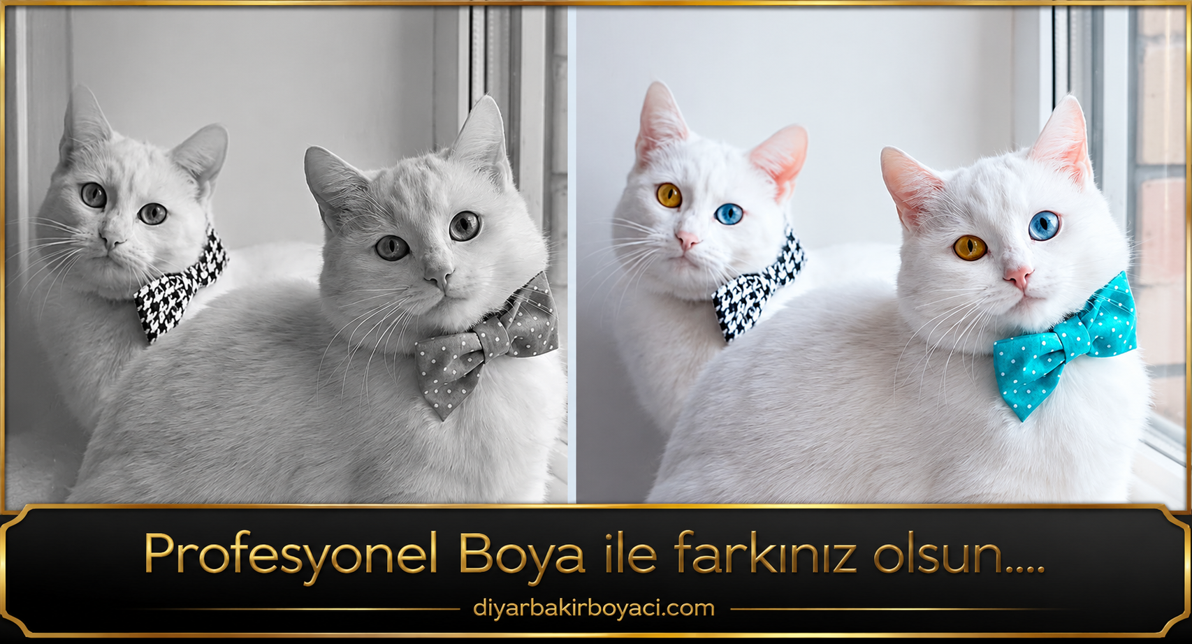 Diyarbakır'da profesyonel boya bada ekibi için doğru adres. kaliteli marka.